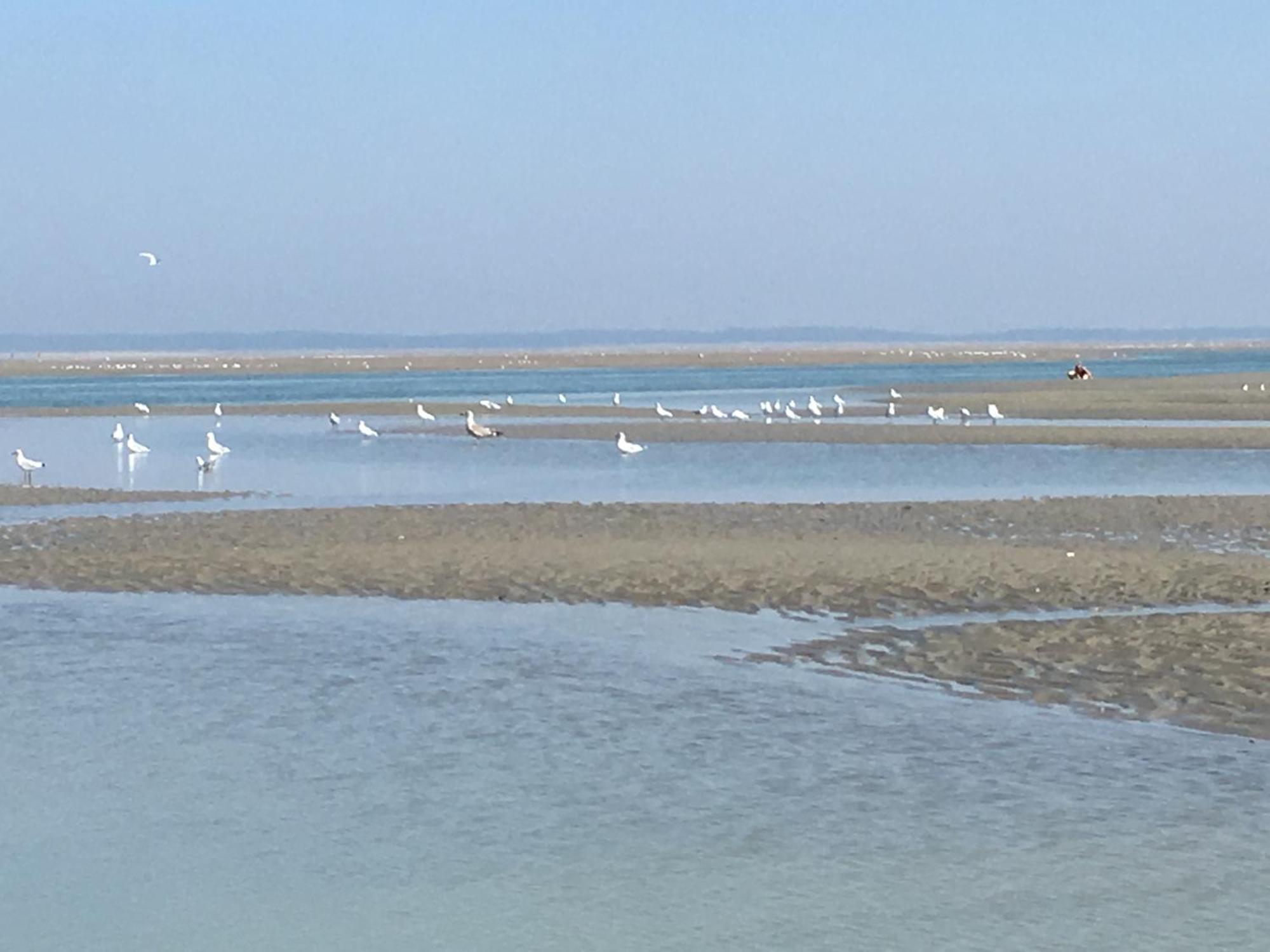 Maison De Pecheur Renovee A 3 Mn De La Mer. Cayeux-sur-Mer Exteriér fotografie