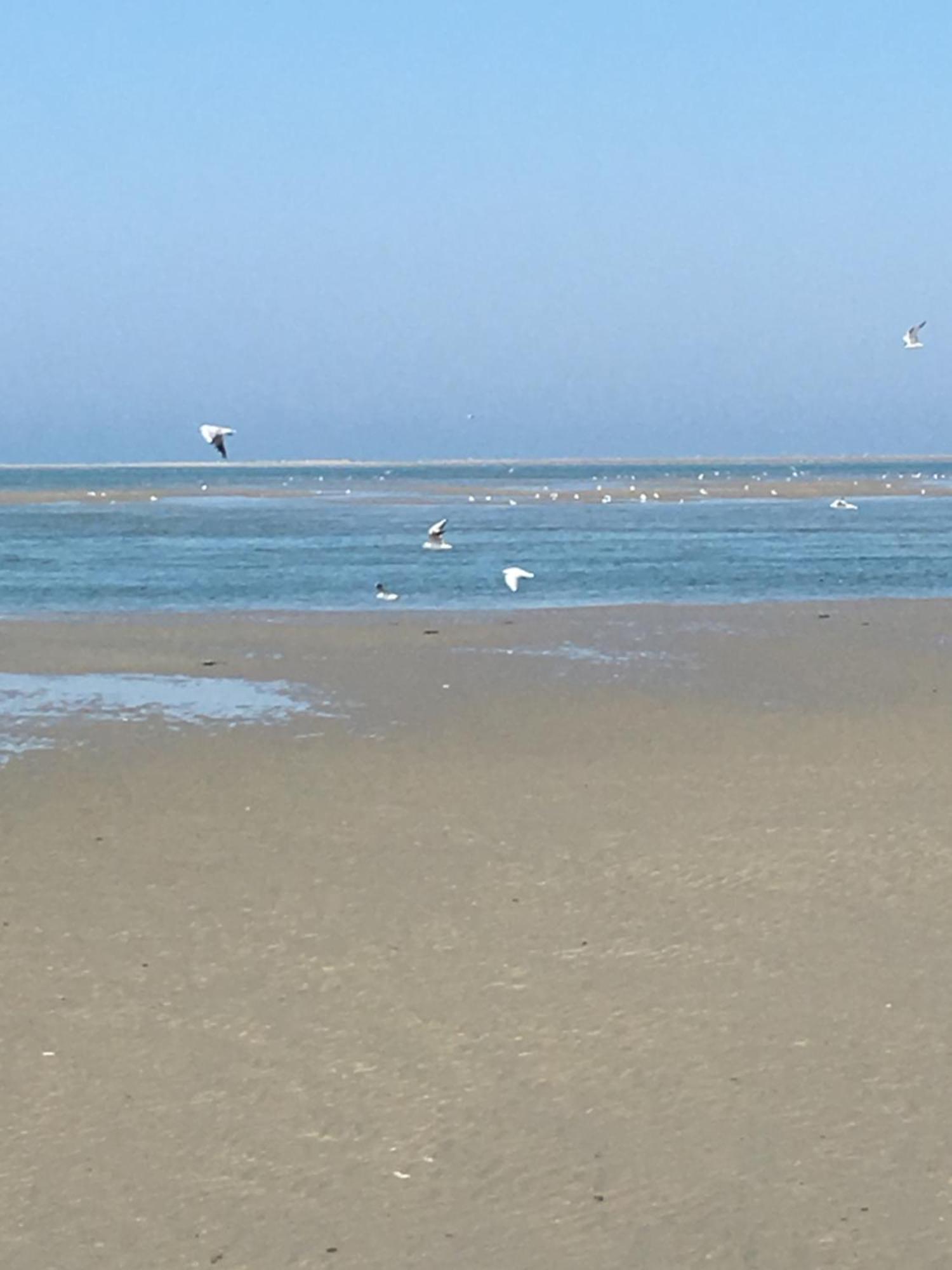 Maison De Pecheur Renovee A 3 Mn De La Mer. Cayeux-sur-Mer Exteriér fotografie