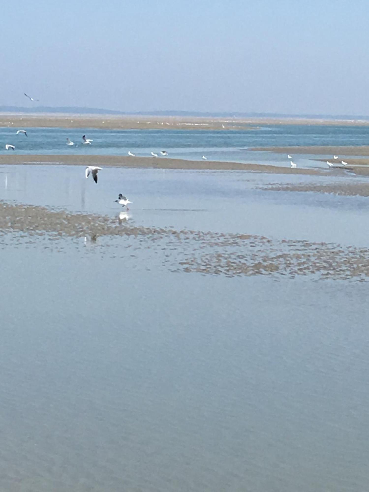 Maison De Pecheur Renovee A 3 Mn De La Mer. Cayeux-sur-Mer Exteriér fotografie
