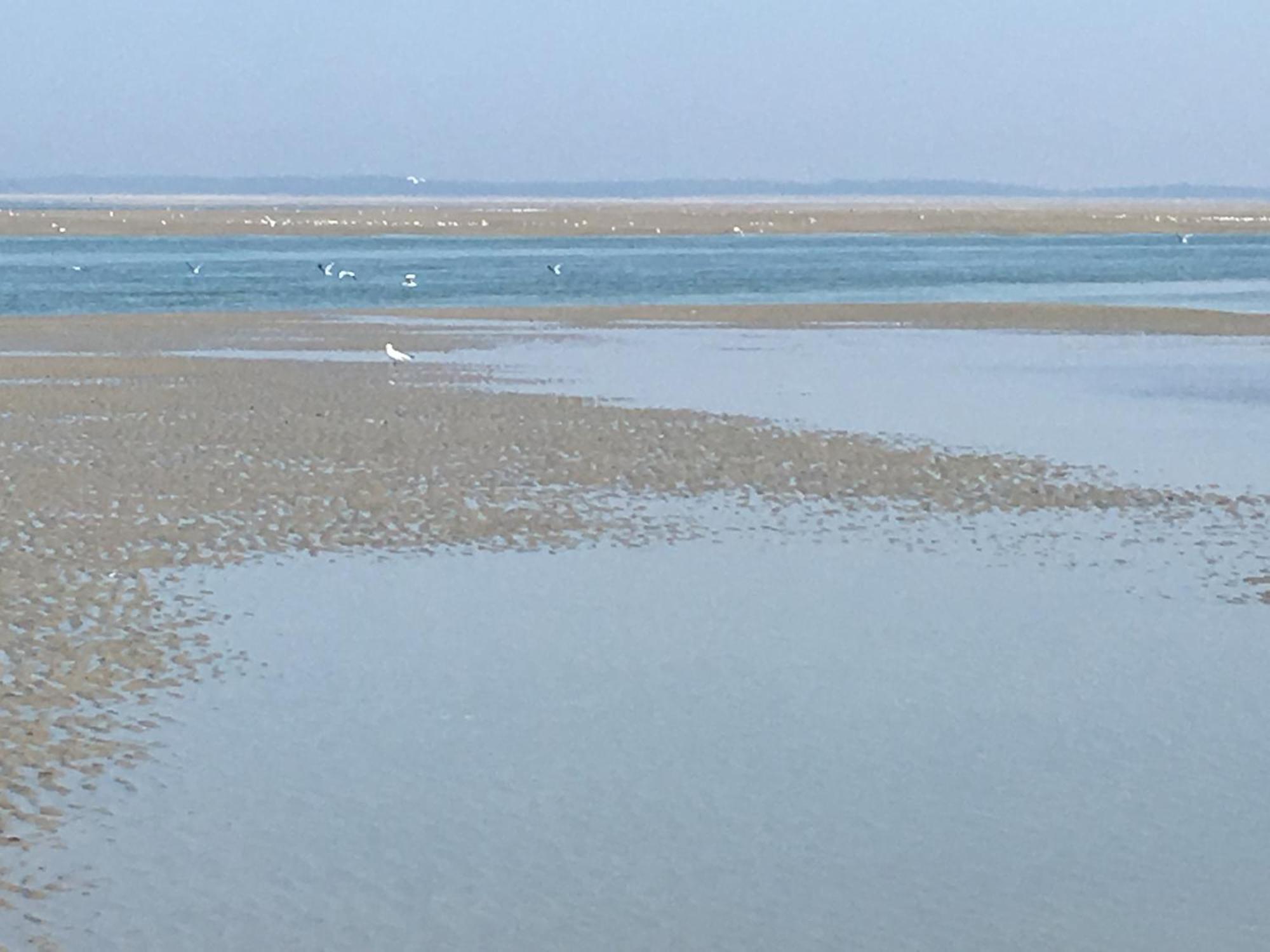 Maison De Pecheur Renovee A 3 Mn De La Mer. Cayeux-sur-Mer Exteriér fotografie